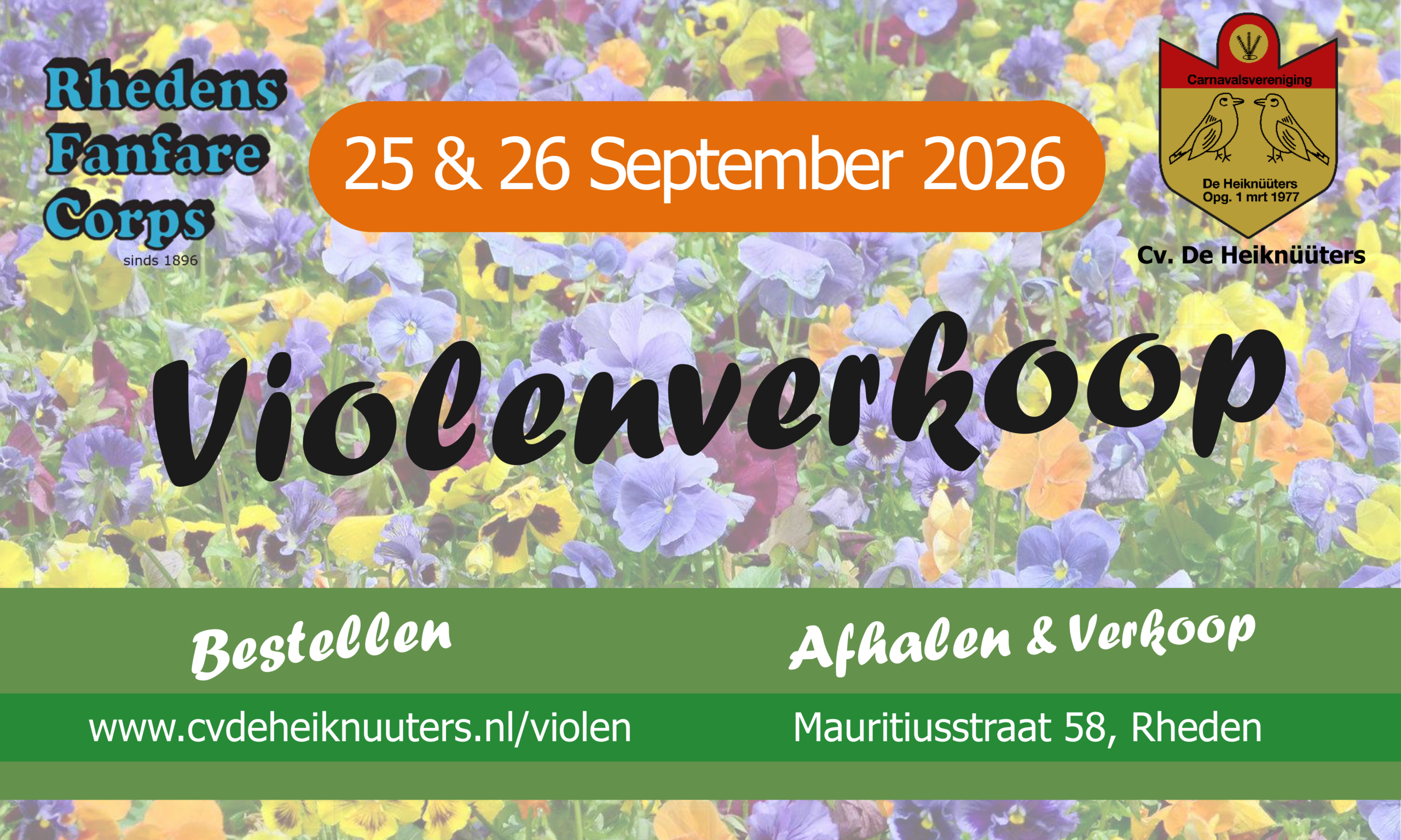 Winterviolenactie 2026: kleur voor de tuin én steun voor het verenigingsleven